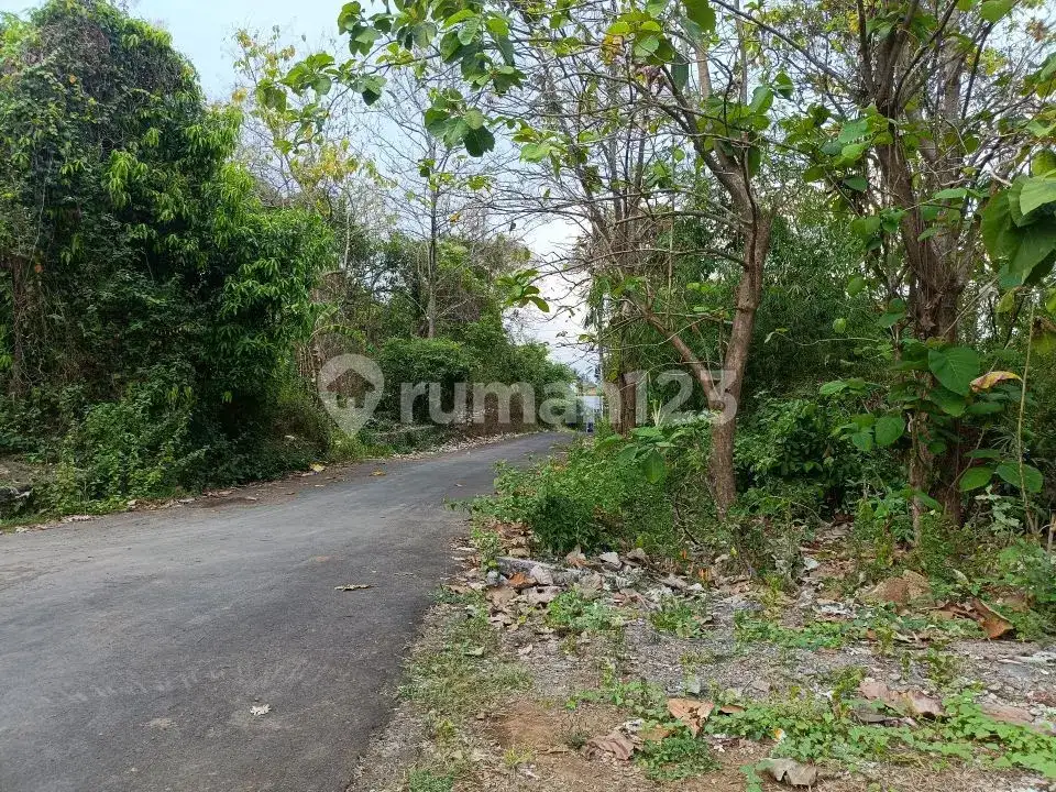 Tanah 3 Menit ke Pusat Lovina Buleleng Bali
