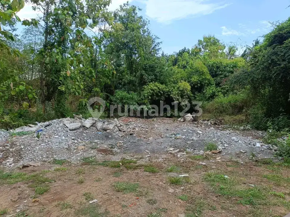 Tanah 3 Menit ke Pusat Lovina Buleleng Bali