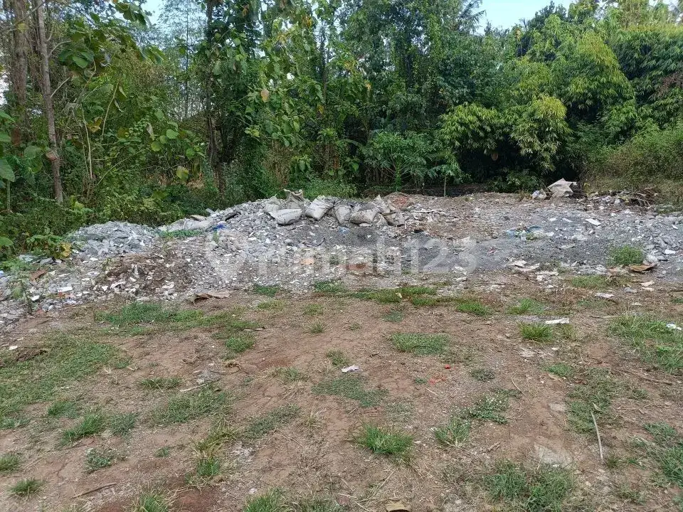 Tanah 3 Menit ke Pusat Lovina Buleleng Bali