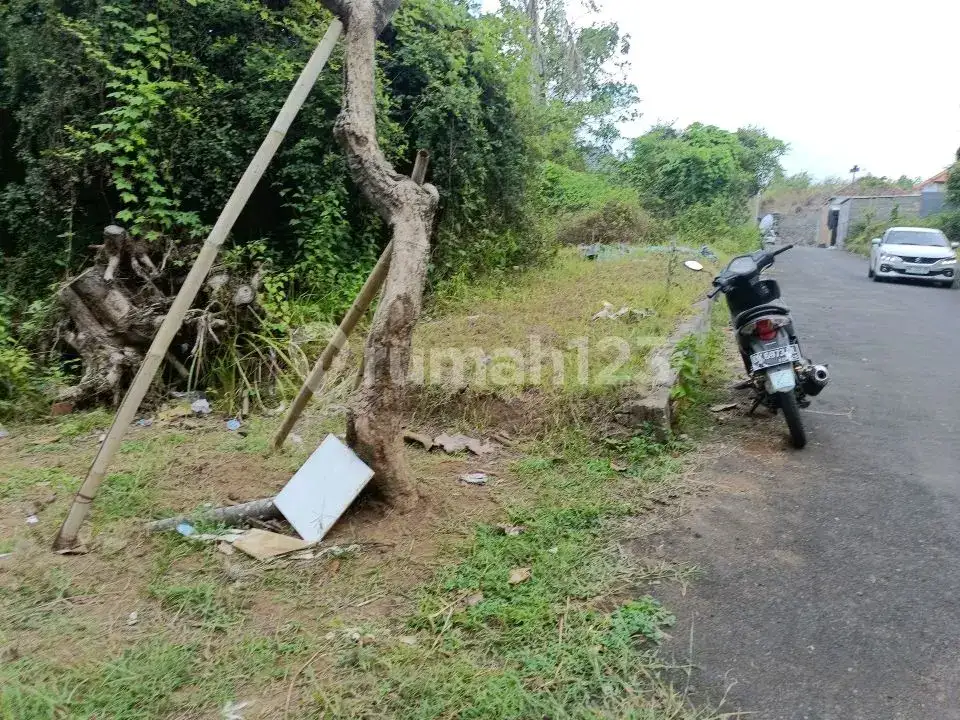 Tanah 3 Menit ke Pusat Lovina Buleleng Bali