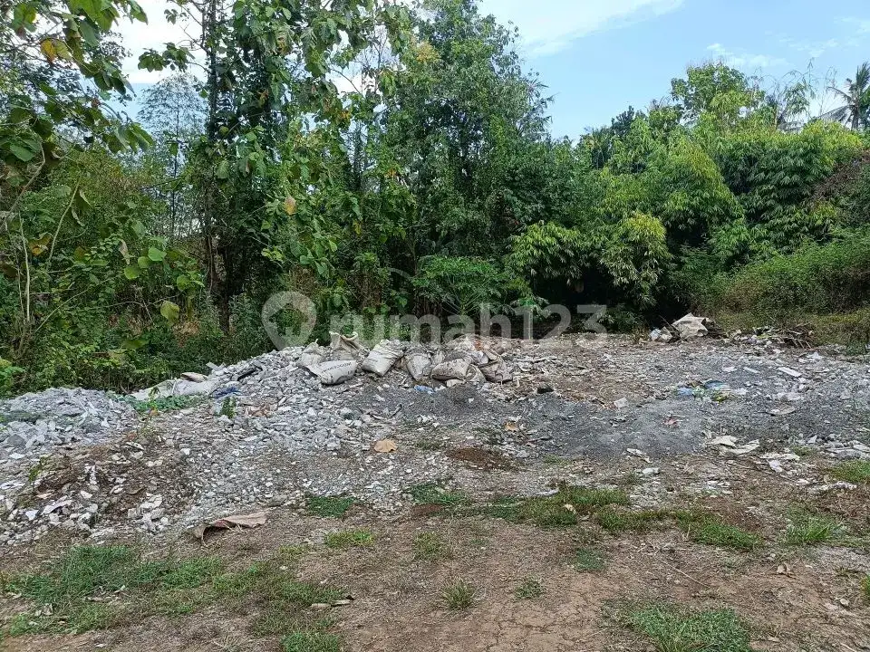 Tanah 3 Menit ke Pusat Lovina Buleleng Bali