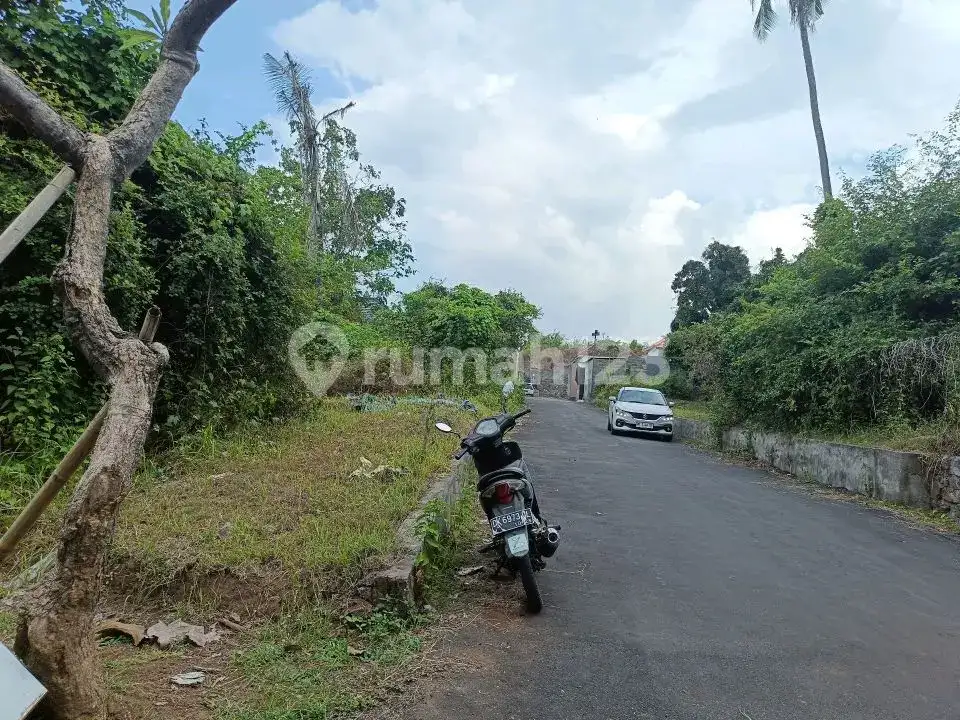 Tanah 3 Menit ke Pusat Lovina Buleleng Bali