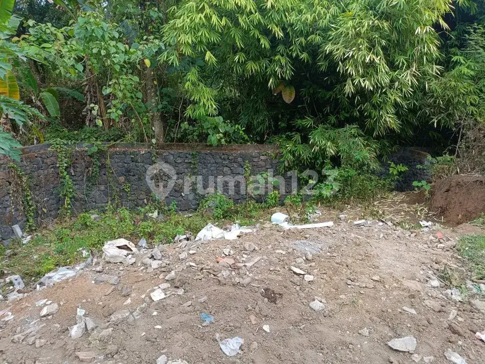 Tanah 3 Menit ke Pusat Lovina Buleleng Bali