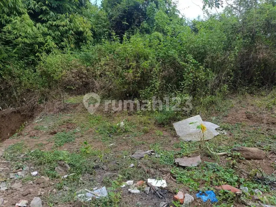 Tanah 3 Menit ke Pusat Lovina Buleleng Bali