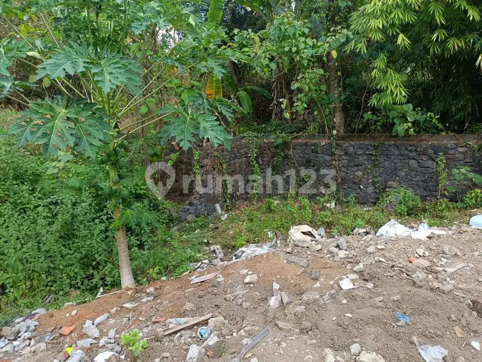 Tanah 3 Menit ke Pusat Lovina Buleleng Bali