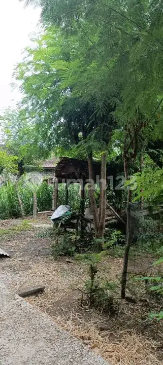 Tanah 9 Are di Pusat Pemuteran Buleleng Dekat Area Diving dan Snorkeling
