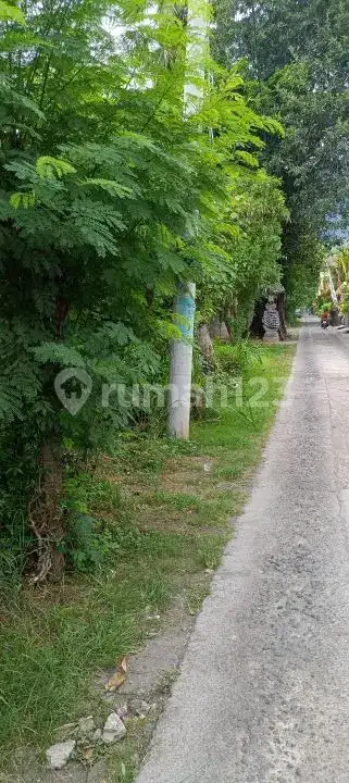 Tanah 9 Are di Pusat Pemuteran Buleleng Dekat Area Diving dan Snorkeling