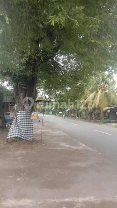 Rumah Villa di Pusat Pemuteran Dekat Pantai Buleleng Bali