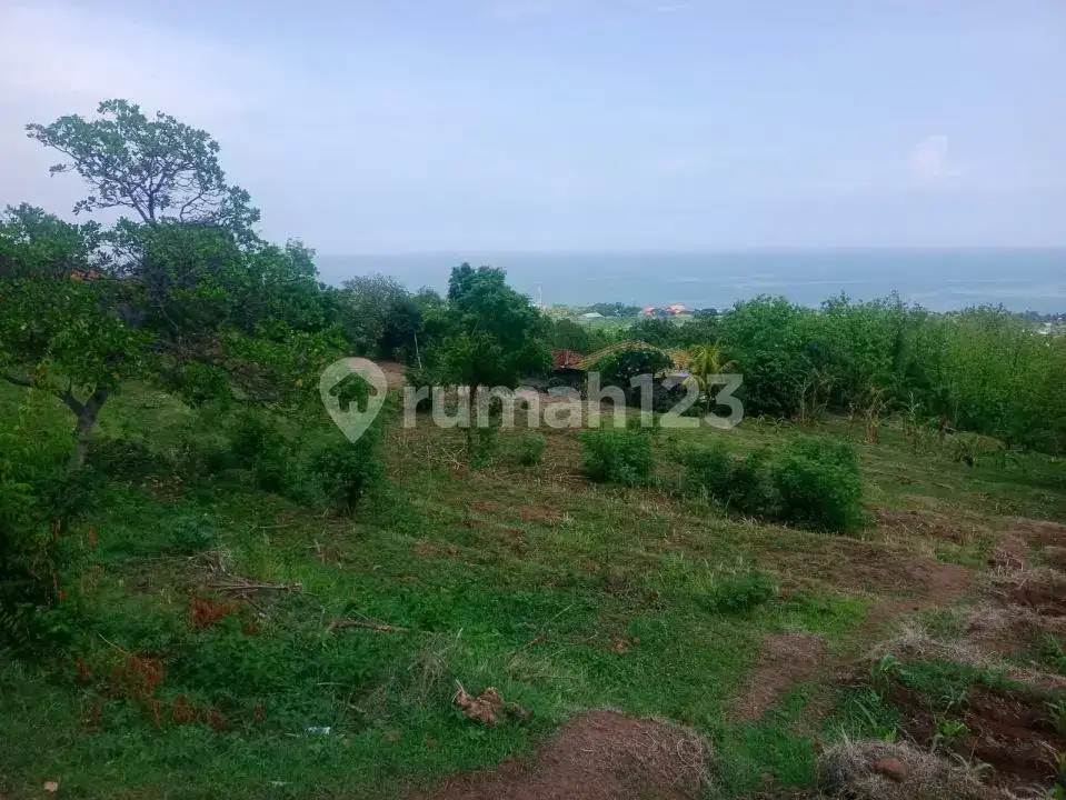 Tanah View Laut Indah dengan Akses Bagus di Lovina Buleleng Bali