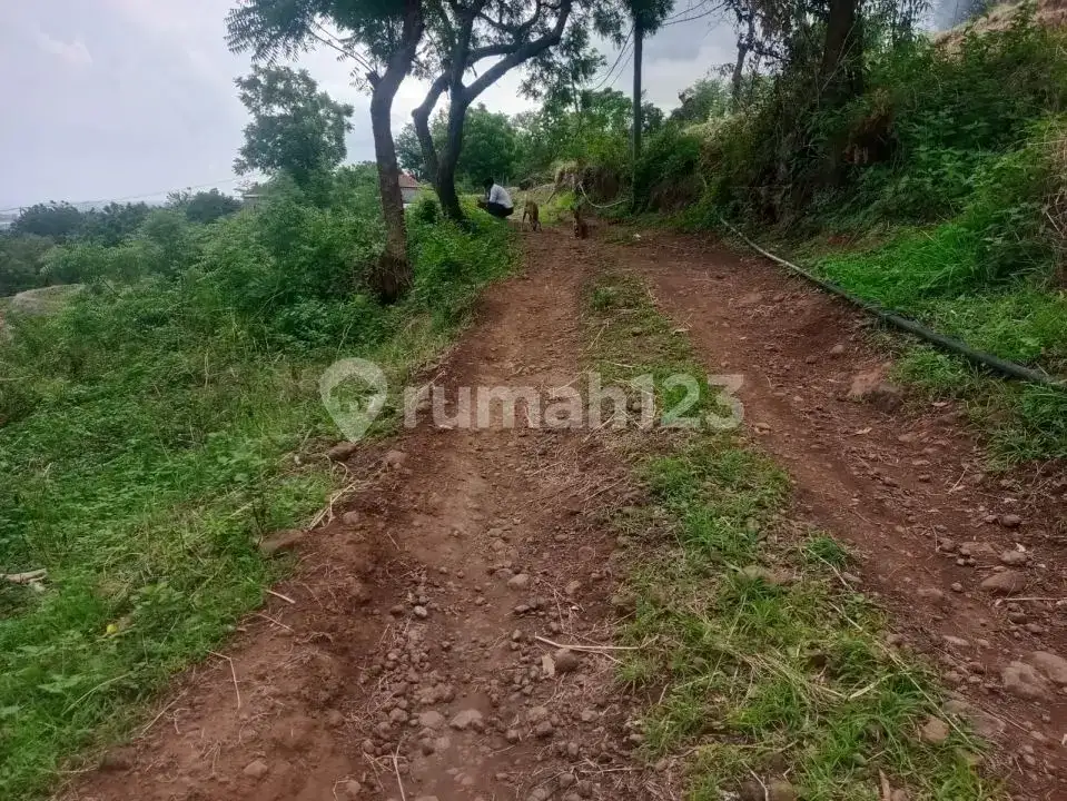 Tanah View Laut Indah dengan Akses Bagus di Lovina Buleleng Bali