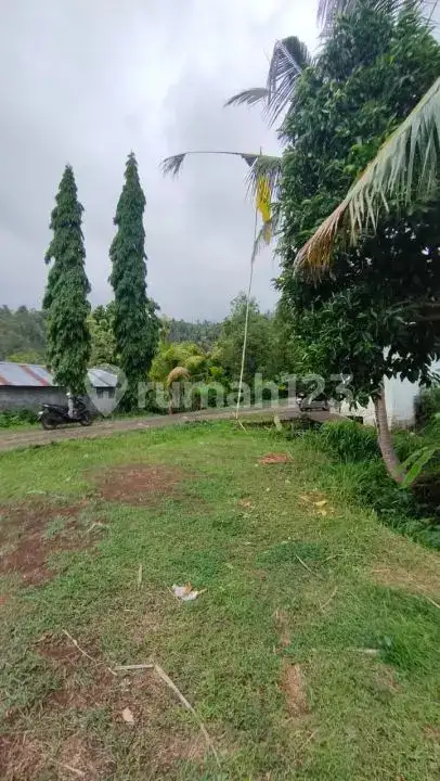 Tanah 10 Are dengan View Indah dan Akses Bagus di Panji Buleleng Bali