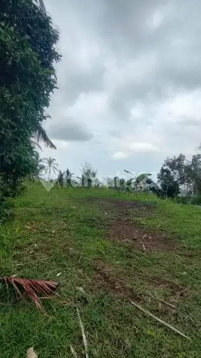 Tanah 10 Are dengan View Indah dan Akses Bagus di Panji Buleleng Bali