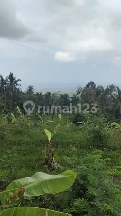 Tanah 10 Are dengan View Indah dan Akses Bagus di Panji Buleleng Bali