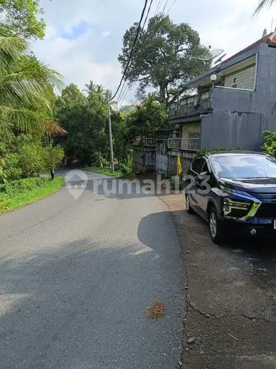 Tanah 21 Are di Seririt Buleleng dengan Akses Jalan Aspal Besar