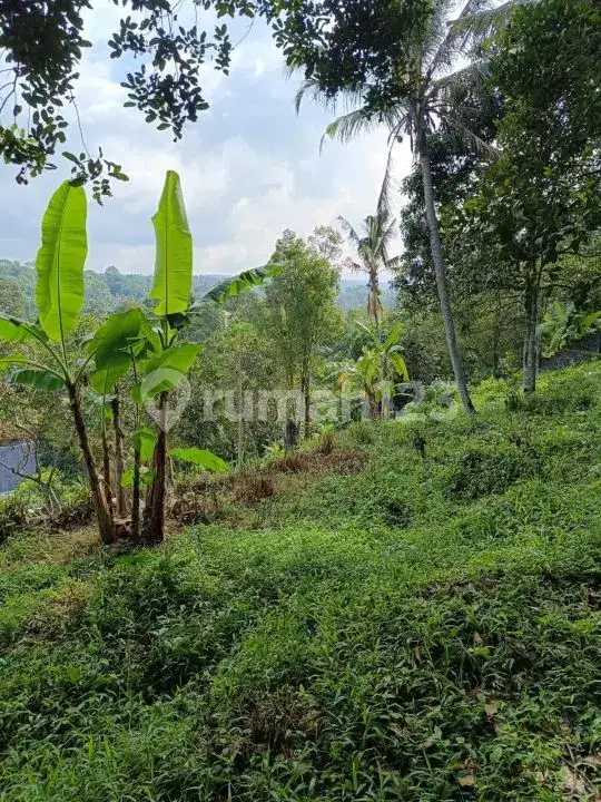 Tanah 21 Are di Seririt Buleleng dengan Akses Jalan Aspal Besar