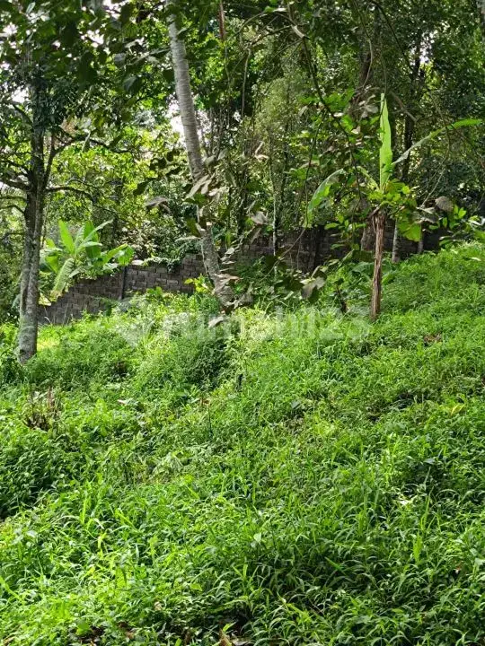 Tanah 21 Are di Seririt Buleleng dengan Akses Jalan Aspal Besar