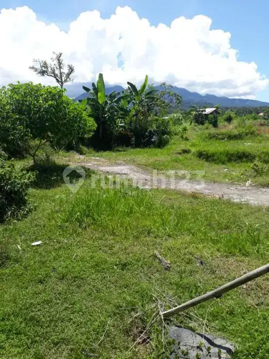 Tanah Budget 200 Jutaan Dekat Taman Ujung Karangasem Bali