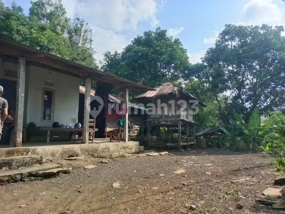 Villa Bonus Rumah Lokal dengan View Laut dan Hutan di Panji Buleleng Bali