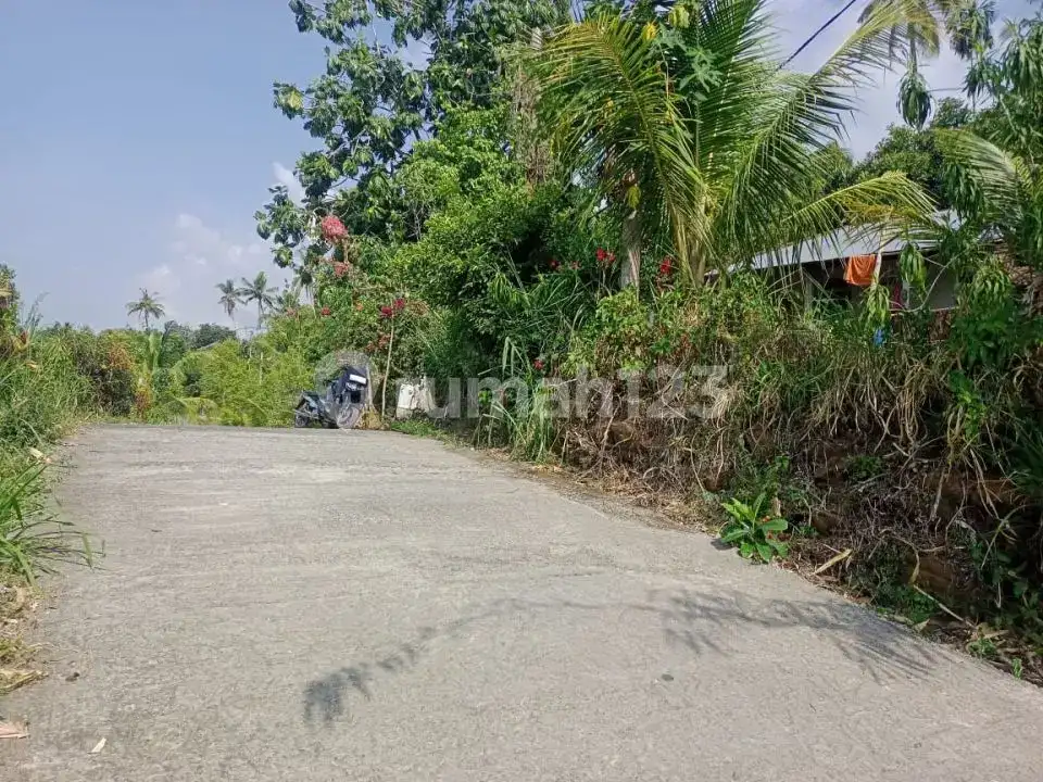Villa Bonus Rumah Lokal dengan View Laut dan Hutan di Panji Buleleng Bali