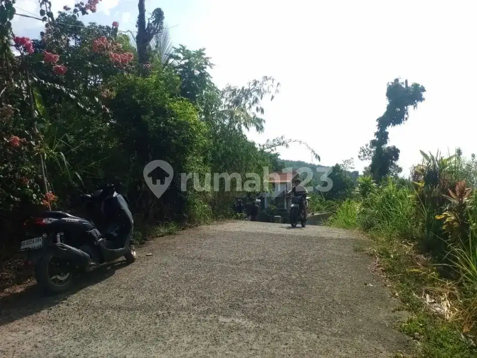 Villa Bonus Rumah Lokal dengan View Laut dan Hutan di Panji Buleleng Bali