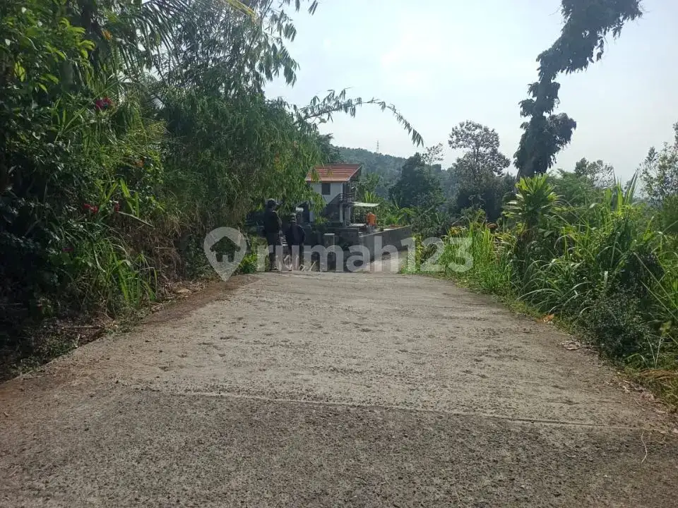 Villa Bonus Rumah Lokal dengan View Laut dan Hutan di Panji Buleleng Bali