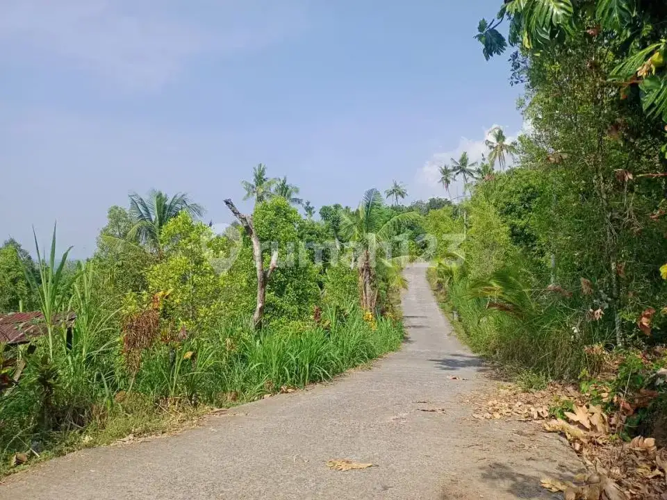 Villa Bonus Rumah Lokal dengan View Laut dan Hutan di Panji Buleleng Bali