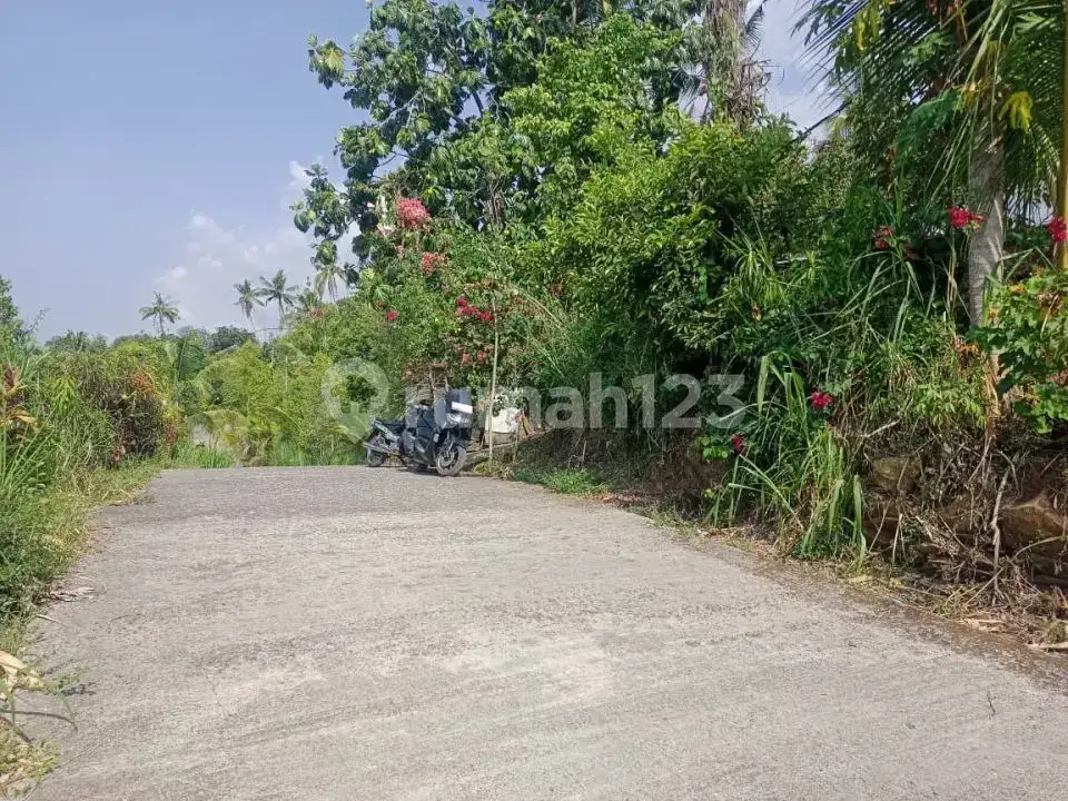 Villa Bonus Rumah Lokal dengan View Laut dan Hutan di Panji Buleleng Bali