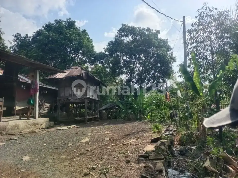 Villa Bonus Rumah Lokal dengan View Laut dan Hutan di Panji Buleleng Bali