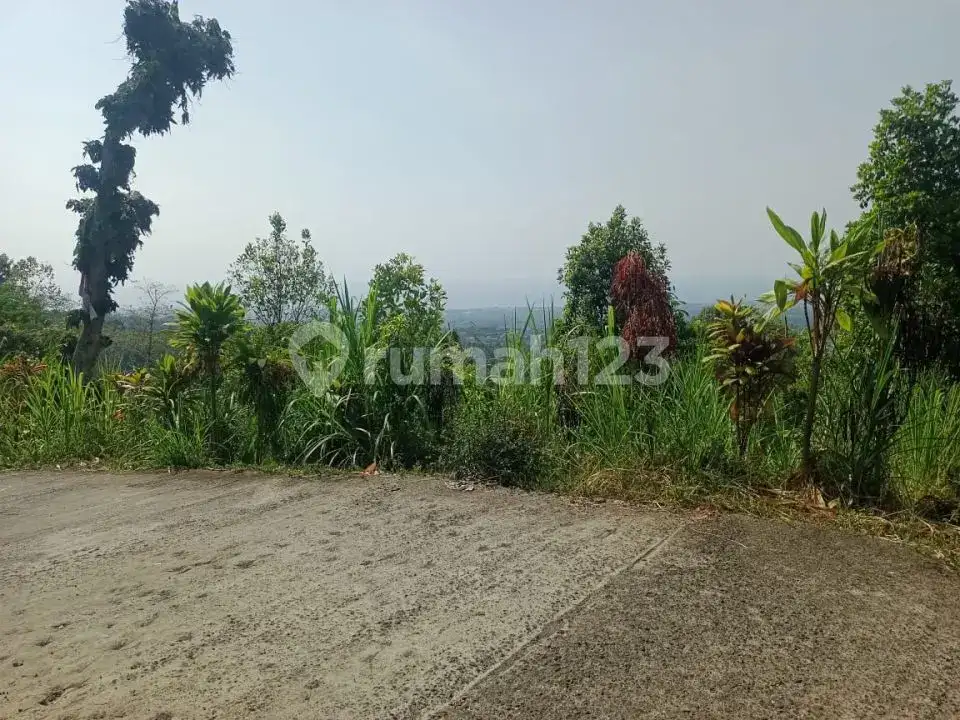 Villa Bonus Rumah Lokal dengan View Laut dan Hutan di Panji Buleleng Bali