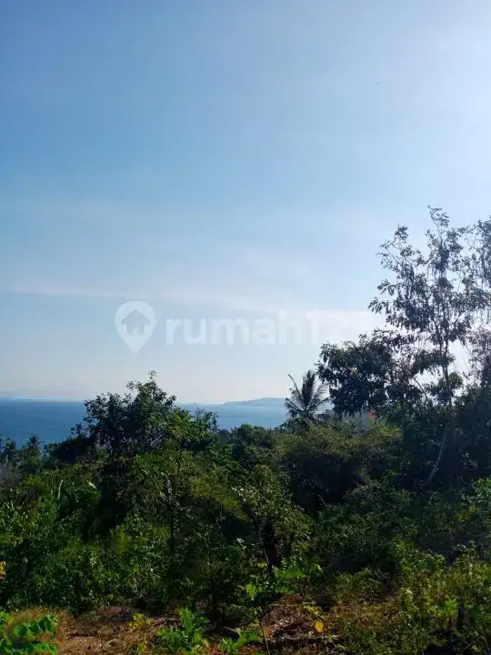 Villa Bonus Rumah Lokal dengan View Laut dan Hutan di Panji Buleleng Bali