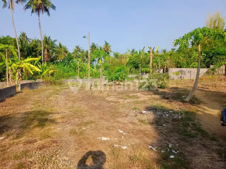 Tanah Luas 91 Are dengan Akses Bagus Dekat Pusat Lovina di Anturan Buleleng Bali