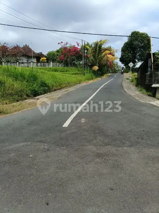 Tanah 25 Are View Laut dan Teras Sawah di Panji Buleleng Bali