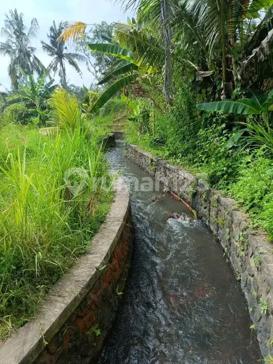 Tanah 25 Are View Laut dan Teras Sawah di Panji Buleleng Bali