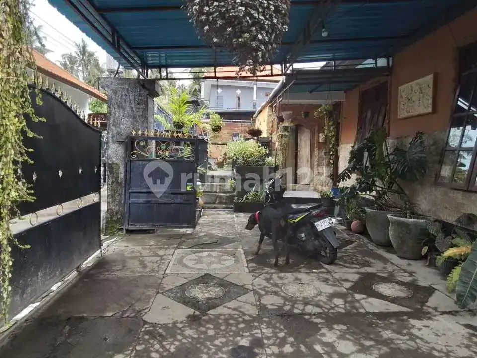 Rumah Semi Villa 3 Kamar Tidur Dekat Pantai di Kaliasem Lovina Buleleng Bali