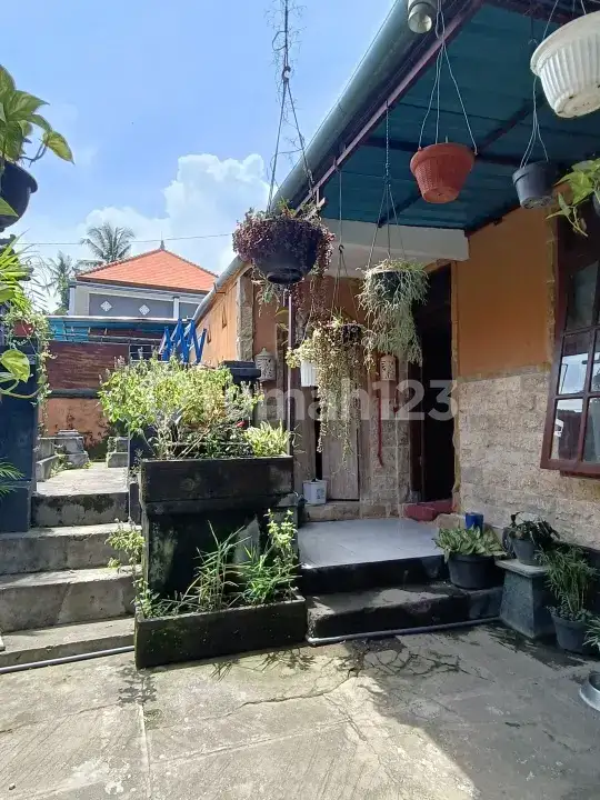 Rumah Semi Villa 3 Kamar Tidur Dekat Pantai di Kaliasem Lovina Buleleng Bali