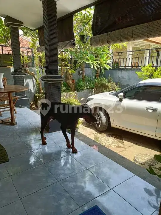 Rumah Semi Villa 3 Kamar Tidur Dekat Pantai di Kaliasem Lovina Buleleng Bali