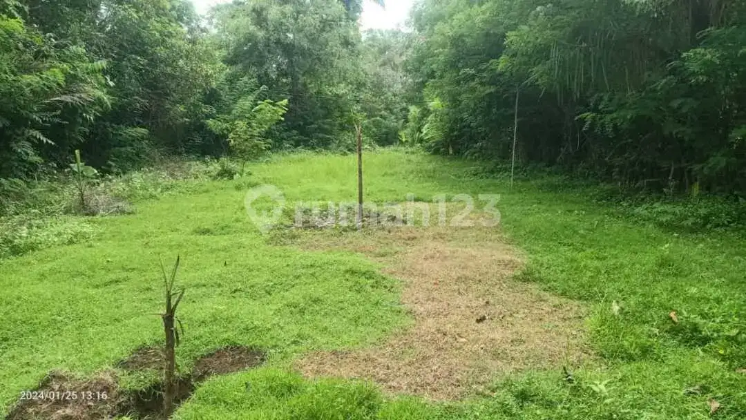 Tanah 6 Are Dekat Tirtagangga Ababi Karangasem Bali