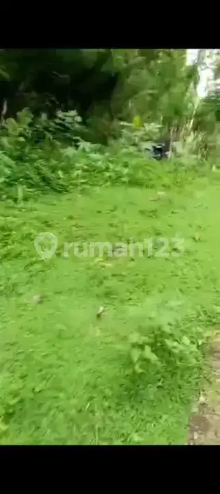 Tanah 6 Are Dekat Tirtagangga Ababi Karangasem Bali