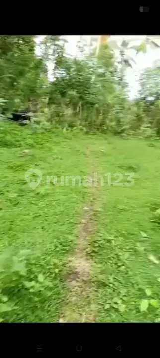 Tanah 6 Are Dekat Tirtagangga Ababi Karangasem Bali