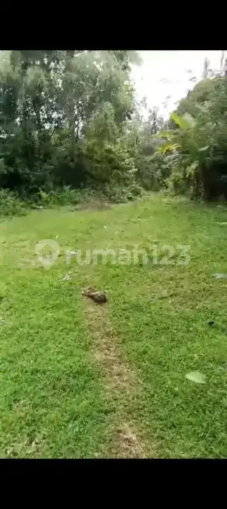 Tanah 6 Are Dekat Tirtagangga Ababi Karangasem Bali