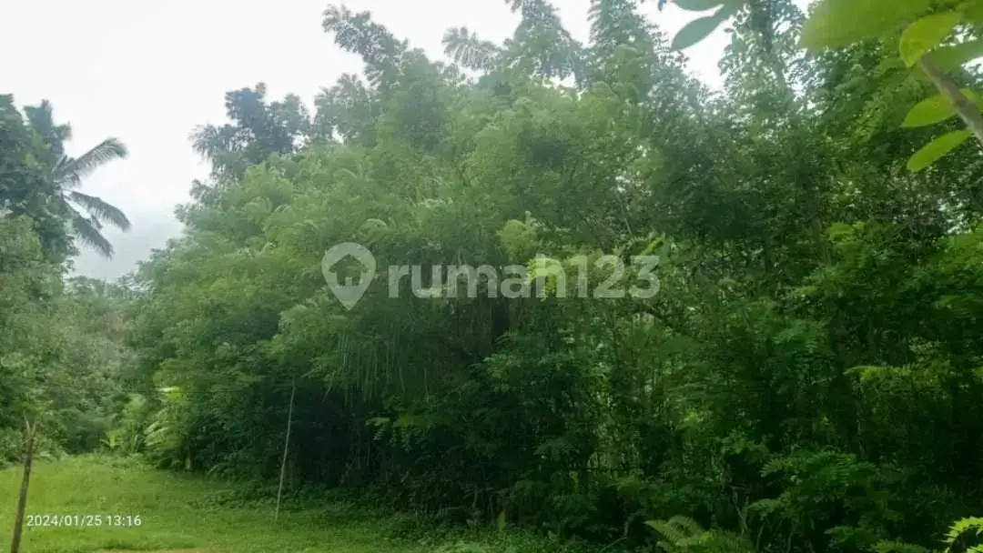 Tanah 6 Are Dekat Tirtagangga Ababi Karangasem Bali