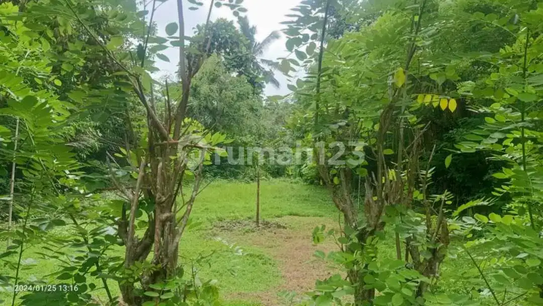 Tanah 6 Are Dekat Tirtagangga Ababi Karangasem Bali
