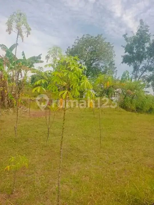 Tanah 12 Are dengan View Laut dan Sawah di Panji Buleleng Bali