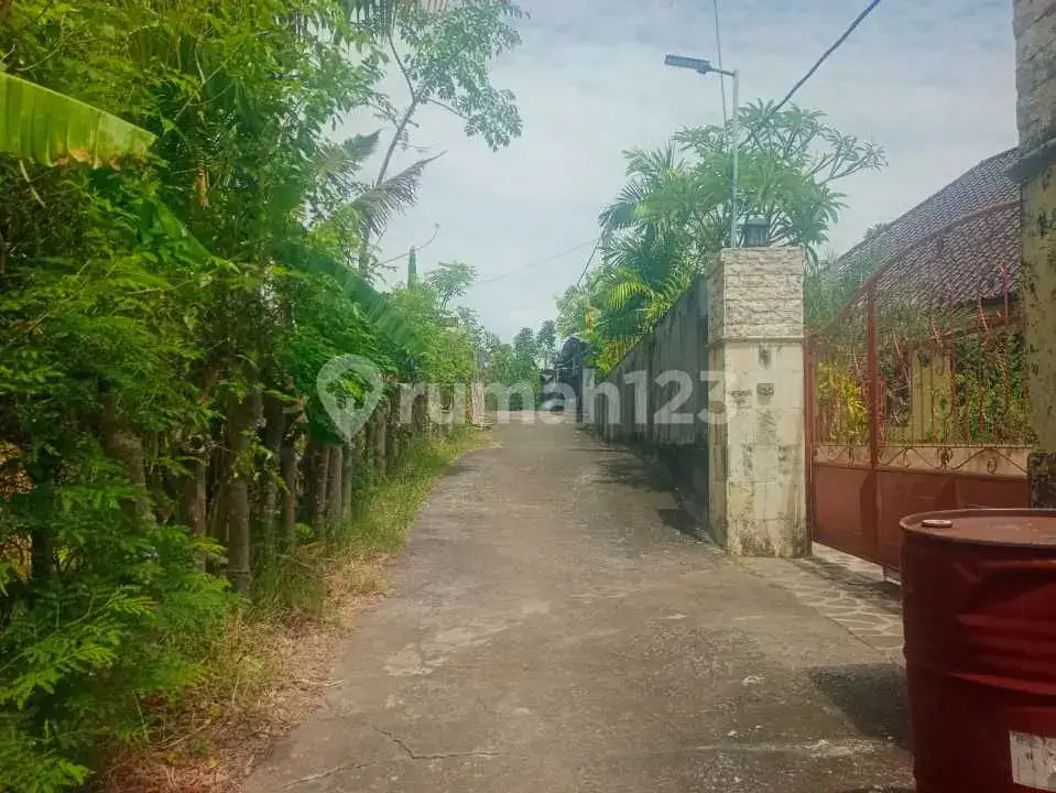 Tanah 12 Are dengan View Laut dan Sawah di Panji Buleleng Bali