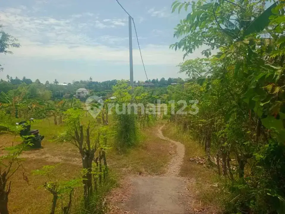 Tanah 12 Are dengan View Laut dan Sawah di Panji Buleleng Bali