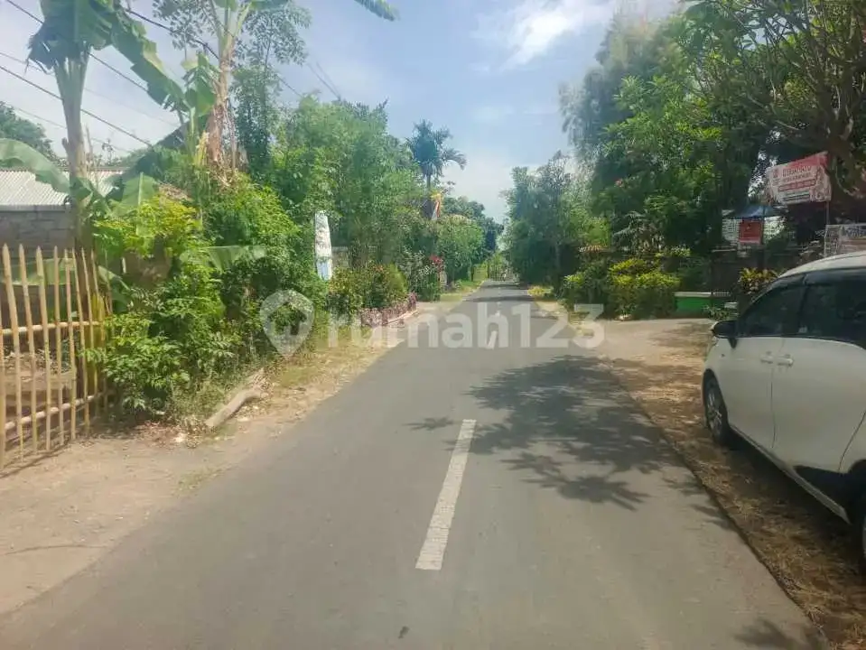 Tanah 12 Are dengan View Laut dan Sawah di Panji Buleleng Bali