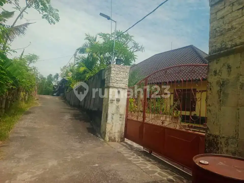 Tanah 12 Are dengan View Laut dan Sawah di Panji Buleleng Bali
