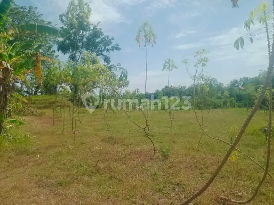 Tanah 12 Are dengan View Laut dan Sawah di Panji Buleleng Bali