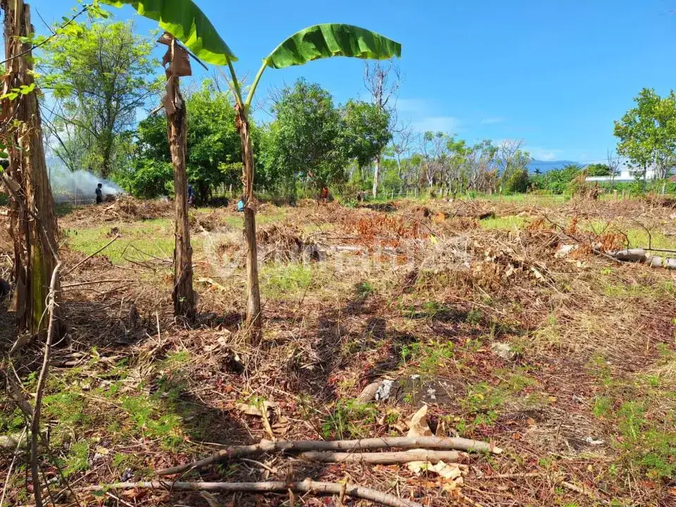 Tanah View Fantastis 50 Meter ke Pantai di Lovina Buleleng Bali