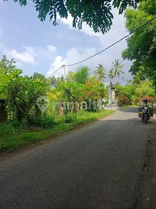 Tanah 40 Are di Pusat Lovina Jarak Jalan Kaki ke Pantai Buleleng Bali